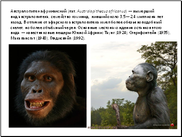   (. Australopithecus africanus)    ,  ,   3,52,4   .         ,    .          :  (1924),  (1935),  (1948),  (1992).