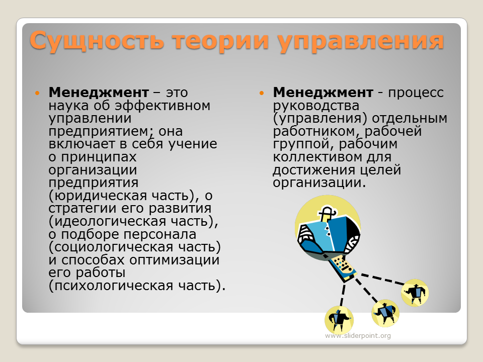 download translation initiation extract