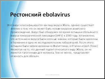  ebolavirus