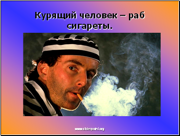 Курящий человек – раб сигареты.