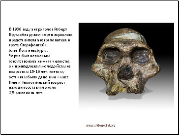 В 1936 году антрополог Роберт Брум обнаружил череп взрослого представителя австралопитека в гроте Стеркфонтейн, близ Йоханнесбурга. Череп был неполным (отсутствовала нижняя челюсть), он принадлежал молодой самке возрастом 15-16 лет, поэтому останкам было дано имя «мисс Плэз». Геологический возраст находки составлял около 2,5 миллиона лет.