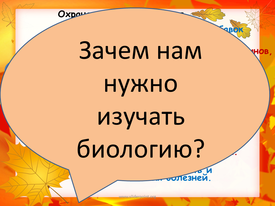 Зачем биология. Зачем нужна биология. Зачем нужна биология 5 класс. Зачем нужно изучать биологию. Почему необходимо изучать биологию.