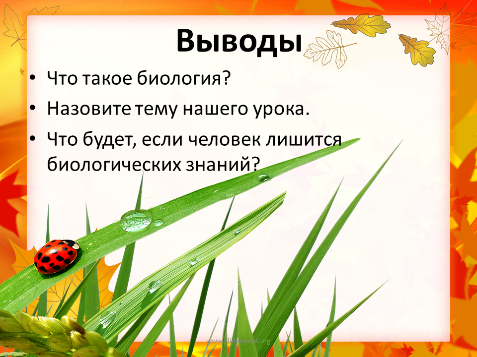 Зачем биология. Биология презентация. Биология наука о живой природе презентация 5 класс. Что такое ч в биологии. Зачем нужна биология.