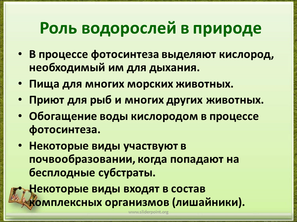 Каково значение ламинарии в жизни человека. Роль водорослей в природе и жизни человека 5 класс биология. Роль водорослей в природе 5 класс биология. Роль водорослей в природе и жизни человека кратко 5 класс. Значение водорсой ла в природе.