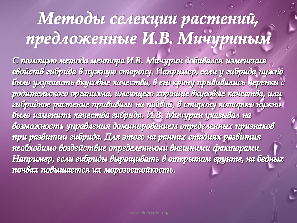 Описание методов селекции растений. Методы селекции растений. Метода селекции растенрй. Методы селекции растений 11 класс. Метод ментора в селекции растений.