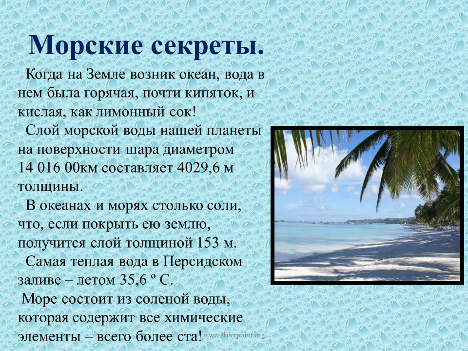 Рассказ о красоте моря окружающий мир