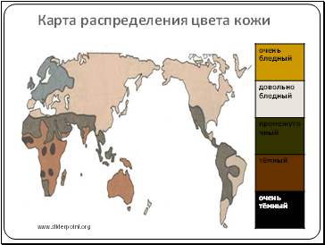 Карта распределения цвета кожи