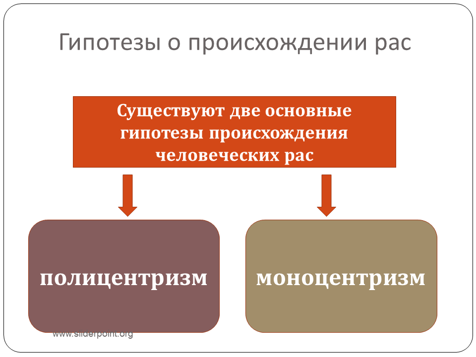 Происхождение человека человеческие расы. Гипотезы происхождения рас. Гипотезы происхождения рас человека таблица. Гипотезы происхождения человеческих рас. Гипотиза поисхождения расс.