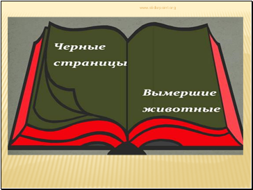 Путешествие по страницам Красной книги