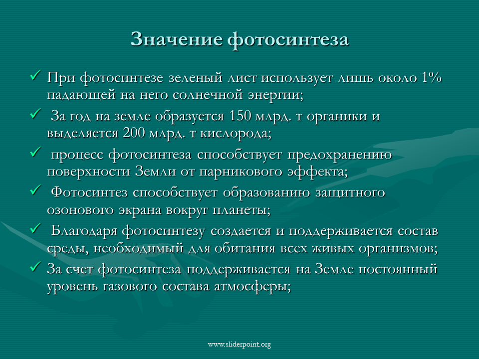 Значение фотосинтеза в природе биология 6 класс. Значение фотосинтеза. Роль процесса фотосинтеза. Роль фотосинтеза для живых организмов. Глобальная роль фотосинтеза.