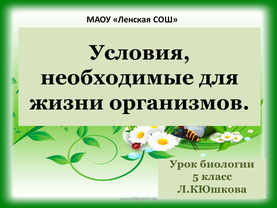 Условия необходимые для жизни на земле. Условия необходимые для жизни человека на земле. Условия необходимые для жизни живых существ на земле. Условия жизни живых организмов.