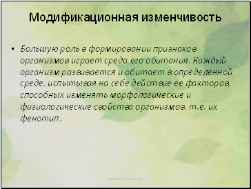 Модификационная изменчивость презентация 10 класс