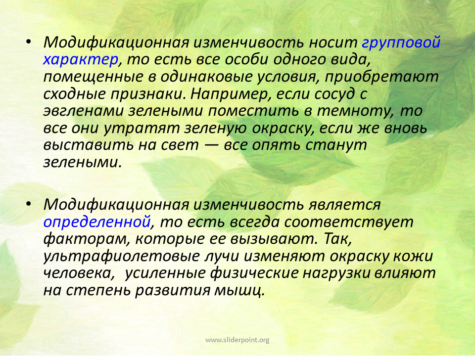 Модификационная изменчивость носит групповой характер. Характер изменчивости модификационной изменчивости. Групповой характер модификационной изменчивости. Изменчивость носит групповой характер.