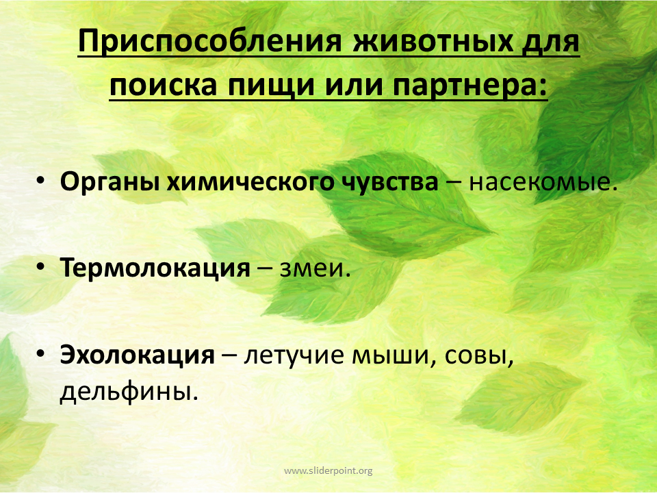 Приспособленность организмов презентация 9 класс. По биологии 9 класс физиологические адаптации. Физиологические приспособления. Физиологические приспособления животных. Физиологические адаптации презентация 9 класс.