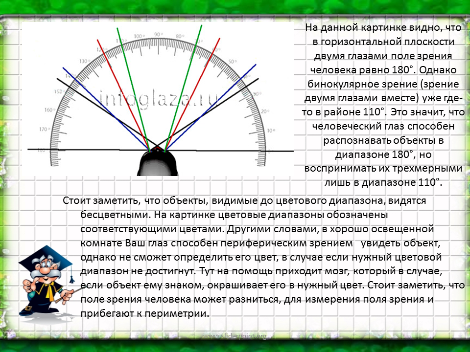 Угол зрения равен. Поле зрения человека. Поле зрения человека в градусах. Угол зрения человека. Угол зрения человека в градусах.