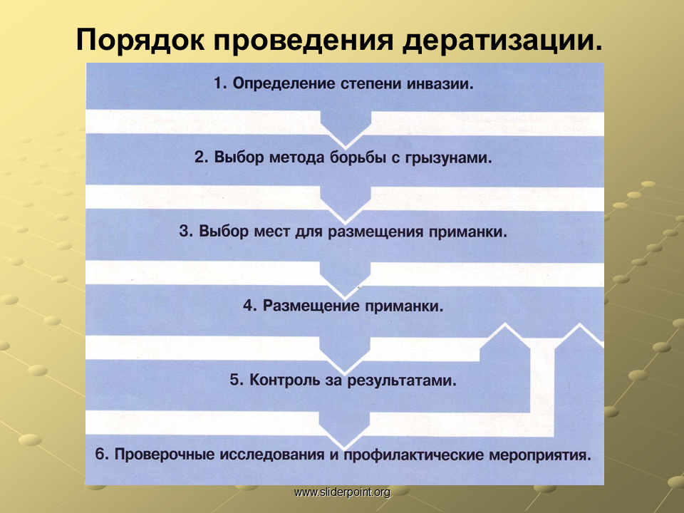 Дезинфекция, дератизация, дезинсекция - Презентация Медицина