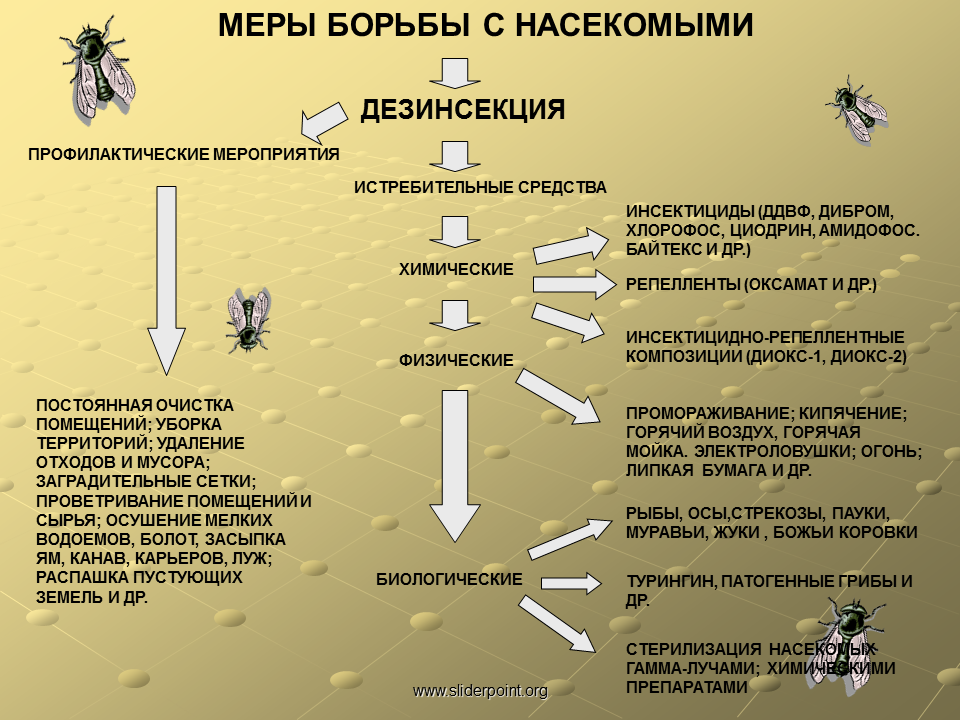 Дезинфекция, дератизация, дезинсекция - Презентация Медицина