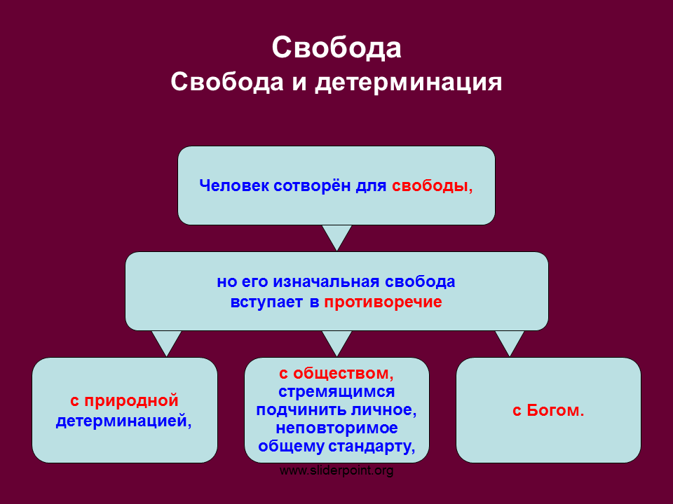 Основные функции свободы