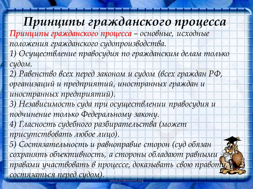 Основные правила гражданского процесса. Основные принципы гражданского процесса. Основные принципы гражданского судопроизводства. Назовите основные принципы гражданского процесса. Принцыпыгражданского процесса.