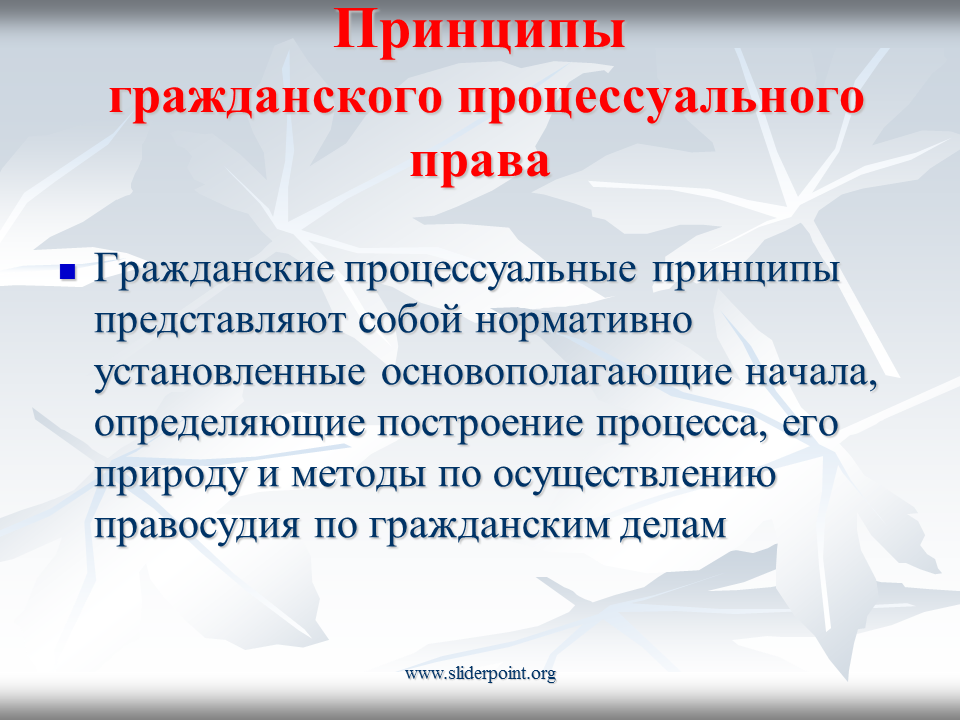 Процессуальные нормы гпк рф. Принципы гражданских процессуальных правоотношений. Система принципов ГПП схема. Принципы гражданского процессуального судопроизводства.