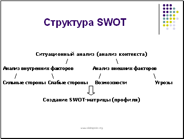  SWOT