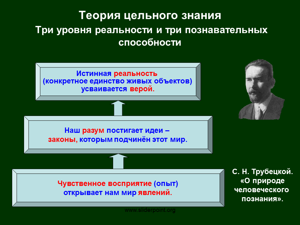 3 познавательных уровня. Цельное знание по Соловьеву. Целостное знание это. Цельное знание в философии это. Уровни реальности философия.