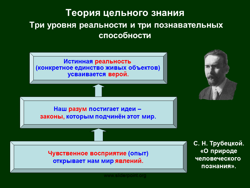 Цельное знание по Соловьеву. Целостное знание это. Цельное знание в философии это. Уровни реальности философия. 3 познавательных уровня