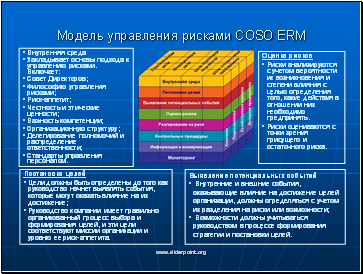    COSO ERM