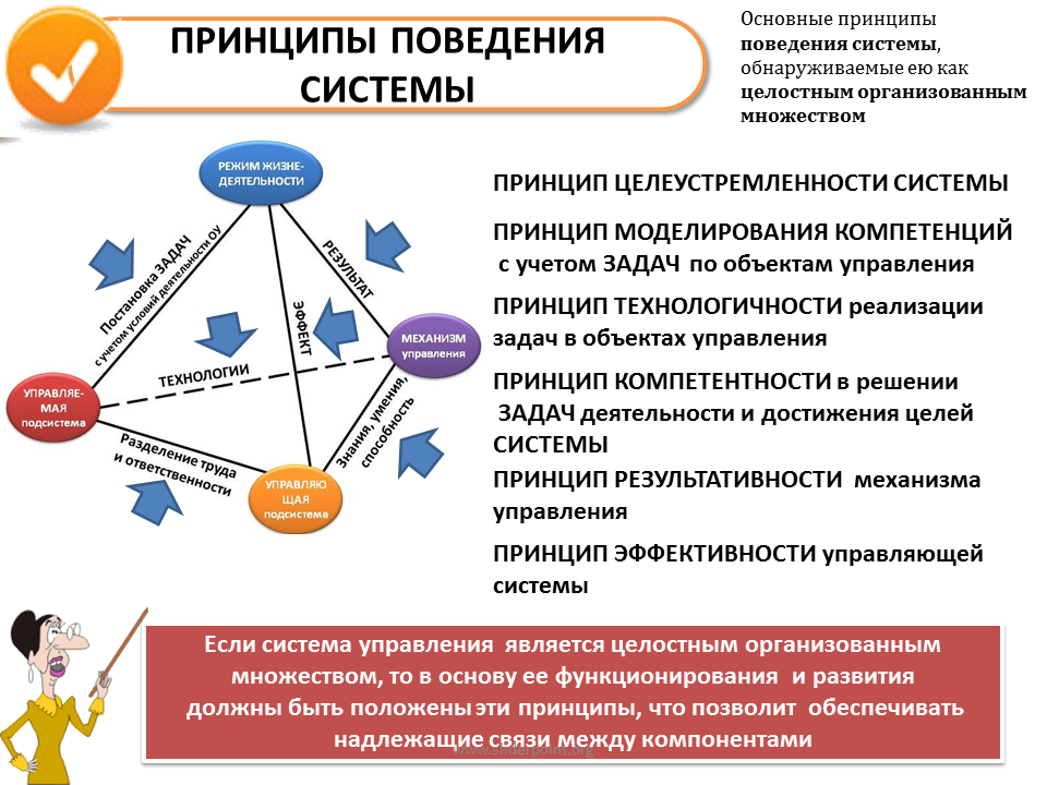 Поведения рассматриваемой системы на. Принципы поведения. Система организационного поведения. Принципы организации поведения. Принципы управления поведением организации:.