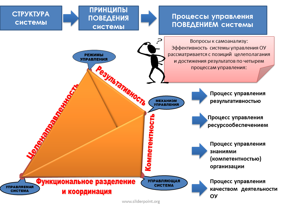 Организация поведение эффективность. Принципы управления поведением организации:. Принципы управления. Структура системы управления..