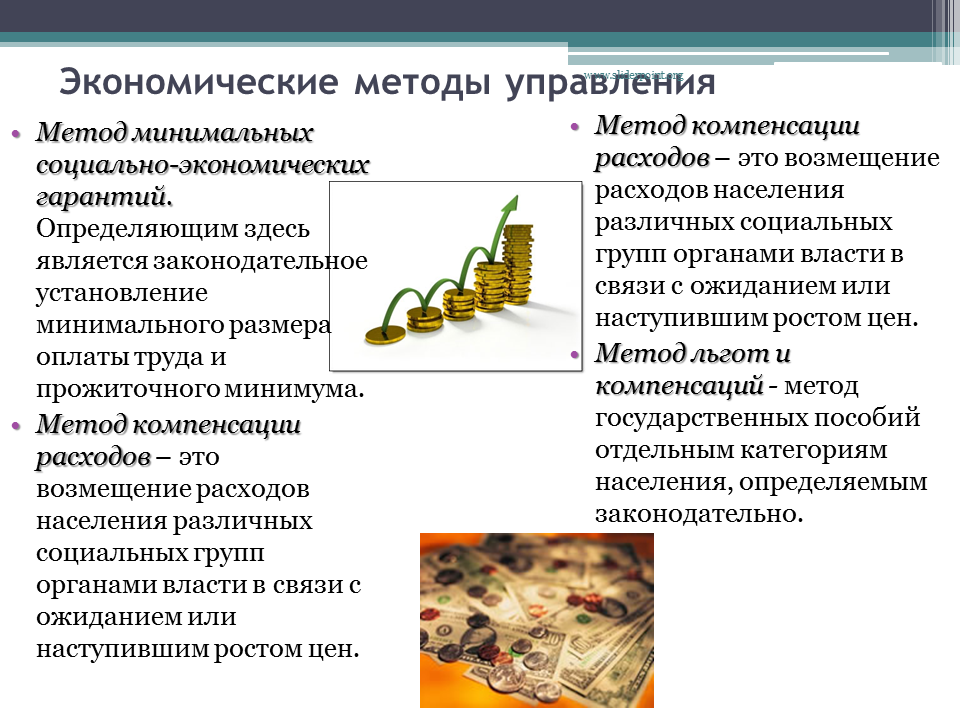 Социально экономические принципы управления