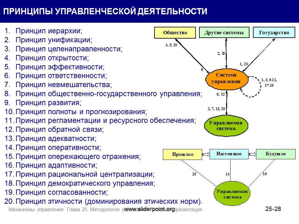 Управленческая деятельность является результатом. Принципы управленческой деятельности. Принципы управления деятельности. Принципы организации управленческой деятельности. Основные принципы организации управленческой деятельности.