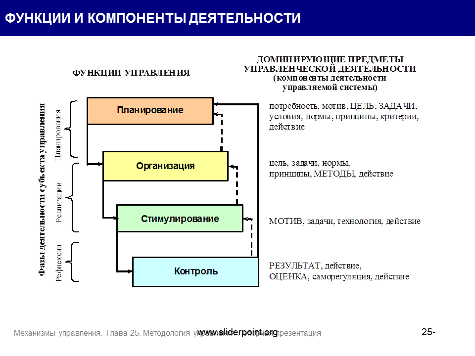 Управленческая деятельность классификация. Функции управленческой деятельности. Управление и управленческая деятельность функции. Функции управления деятельности. Последовательность функций управленческой деятельности.