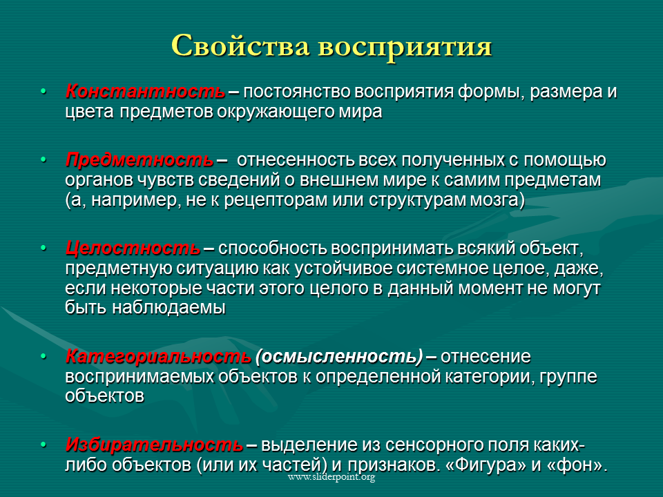 Особенности свойств восприятия. Свойства восприятия в психологии. Основные свойства восприятия примеры. Характеристика процесса восприятия. Восприятие свойства восприятия.