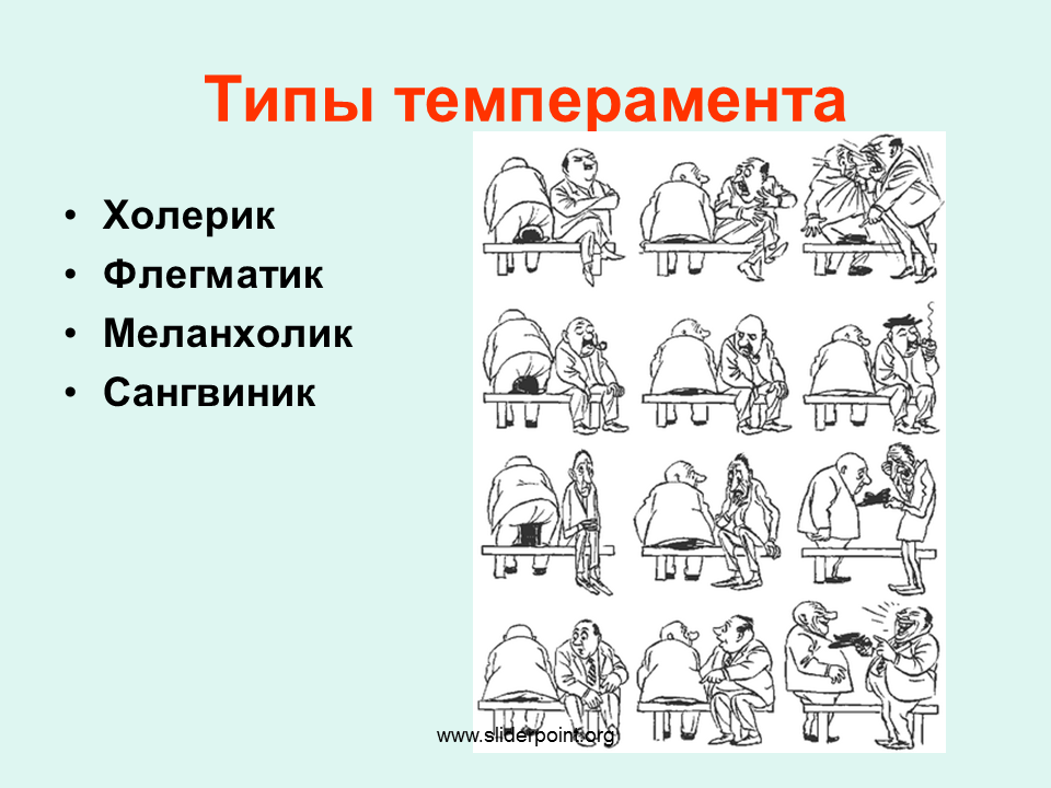 Типа темперамента человека и описание