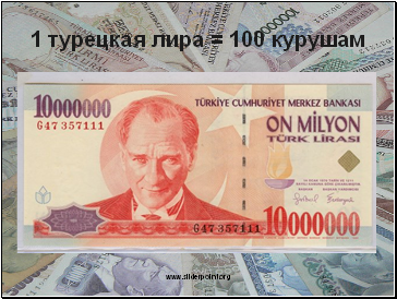 1 турецкая лира = 100 курушам