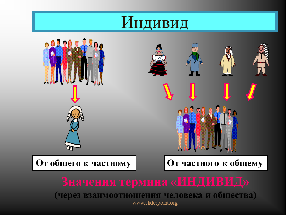 Индивид индивидуальность личность. Человек личность. Человек индивид личность. Индивид индивидуальность личность рисунок.