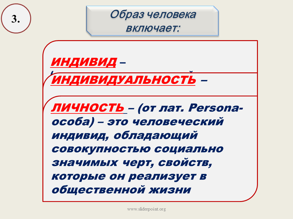 Гражданский выбор определение. Нравы это в обществознании.