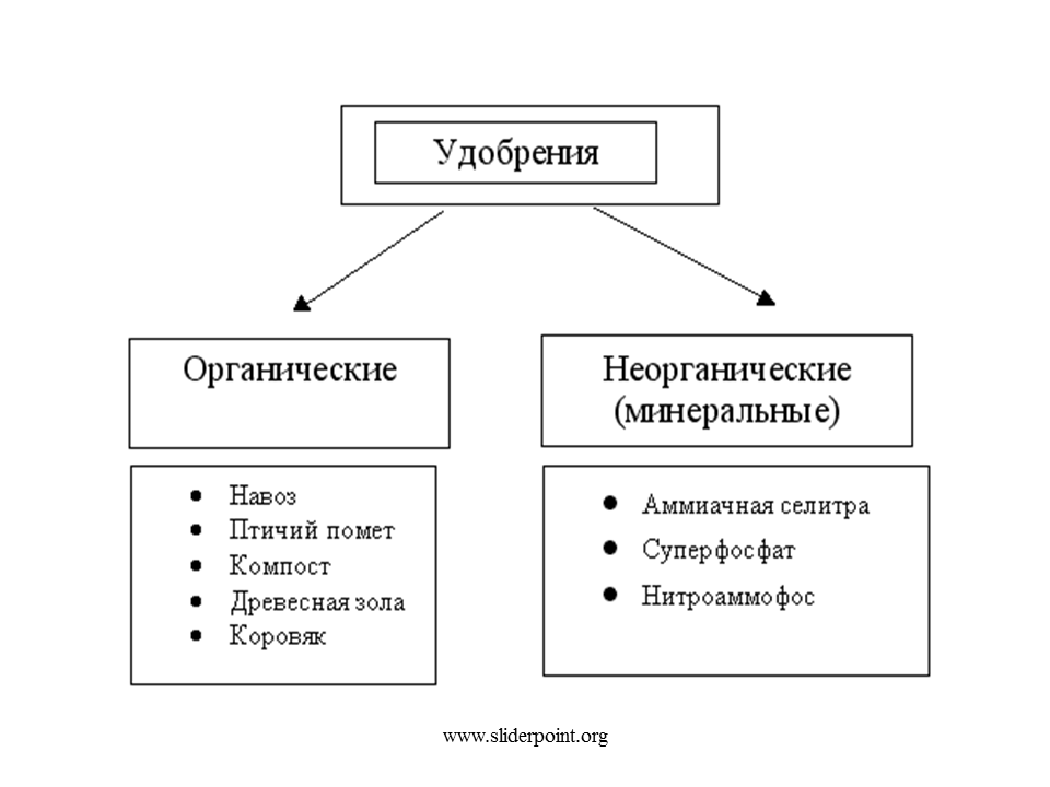 Примеры органических удобрений. Удобрения органические и неорганические таблица. Классификация удобрений схема. Схема удобрения органические и Минеральные. Классификация удобрений схема 6 класс.