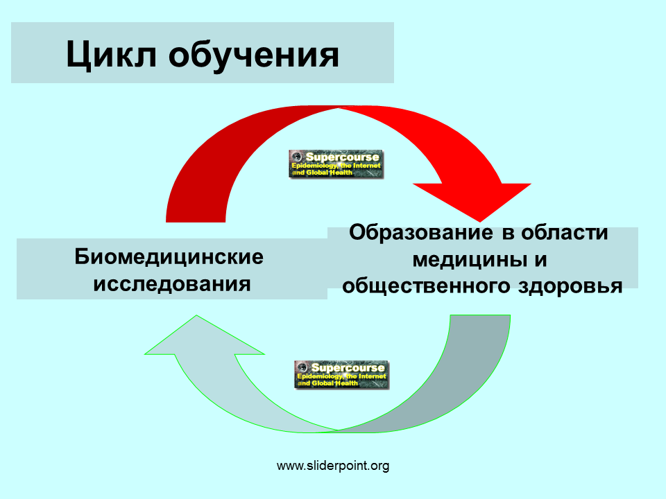 Цикл обучения. Циклы образования. Этапы цикла обучения. Цикличность обучения. Цикл тренинга