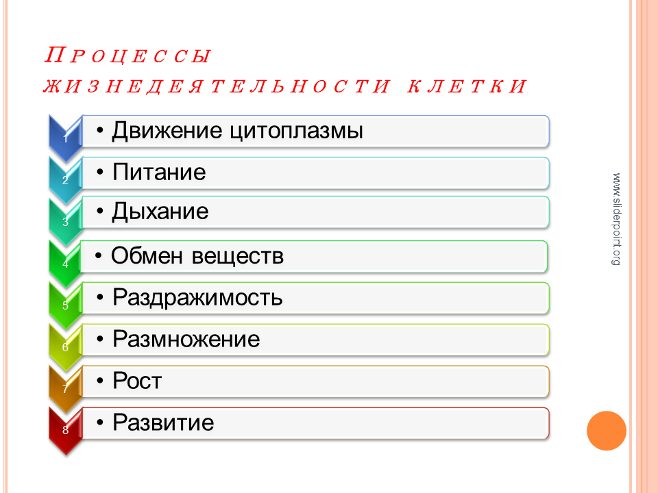 Процессы жизнедеятельности клетки. Основные процессы жизнедеятельности клетки. Процессы жизнедеятельности клетки таблица. Процессы жизнедеятельности клетки 6 класс.