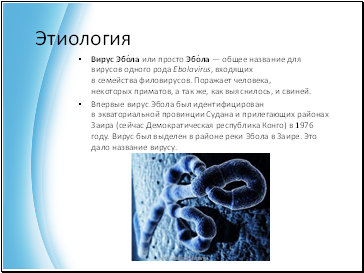  ́   ́        Ebolavirus,    .  ,  ,   ,  ,  .