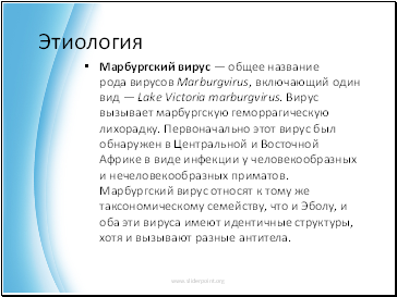        Marburgvirus,     Lake Victoria marburgvirus.     .                  .        ,   ,       ,     .