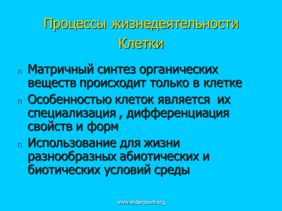 Процессы диднидеятельно. Процессы жизнедеятельности клетки. Основные процессы жизнедеятельности клетки. Процессы жизнедеятельности клетки кратко.