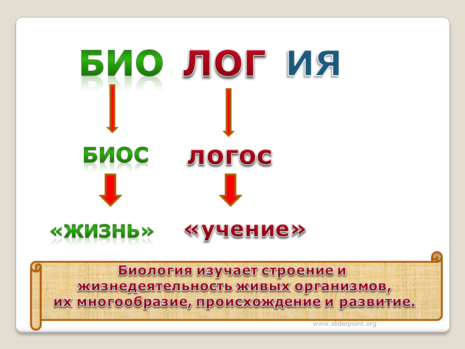 Биология изучает 3 класс. Что изучает биология. Учение биологии. Био это в биологии. Биология био жизнь Логос.