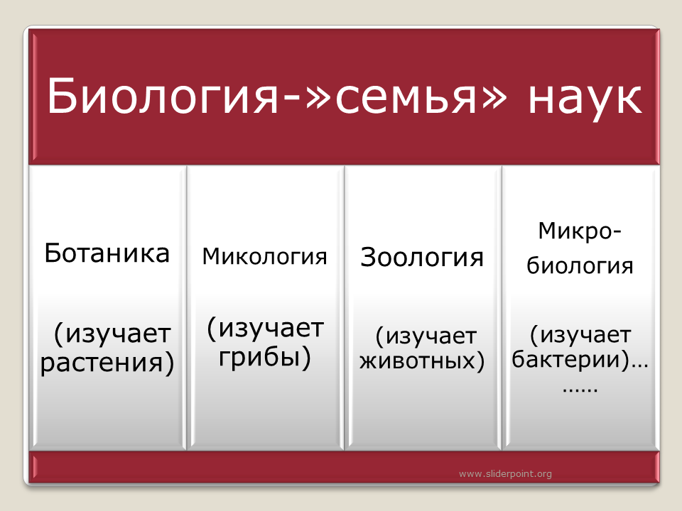 Биология изучает 3 класс. Биология. Что изучает биология. Науки биологии. Биология это наука о чем.