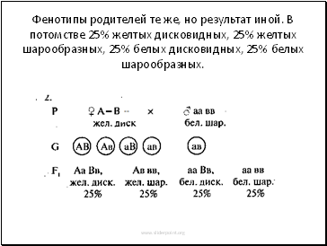    ,   .   25%  , 25%  , 25%  , 25%  .