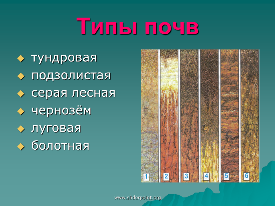 Разнообразие почв 4. Типы почв. Почва 4 класс окружающий. Типы почв на земле. Что такое почва 4 класс.