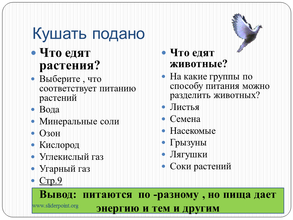 Разделите птиц на группы по способу питания