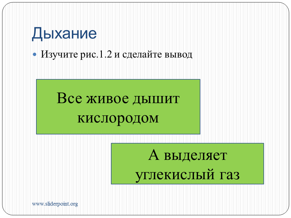 Все живые организмы дышат кислородом. Каким газом дышат живые организмы. Не живое а дышит. Не живое а дышит загадка. Выделять.